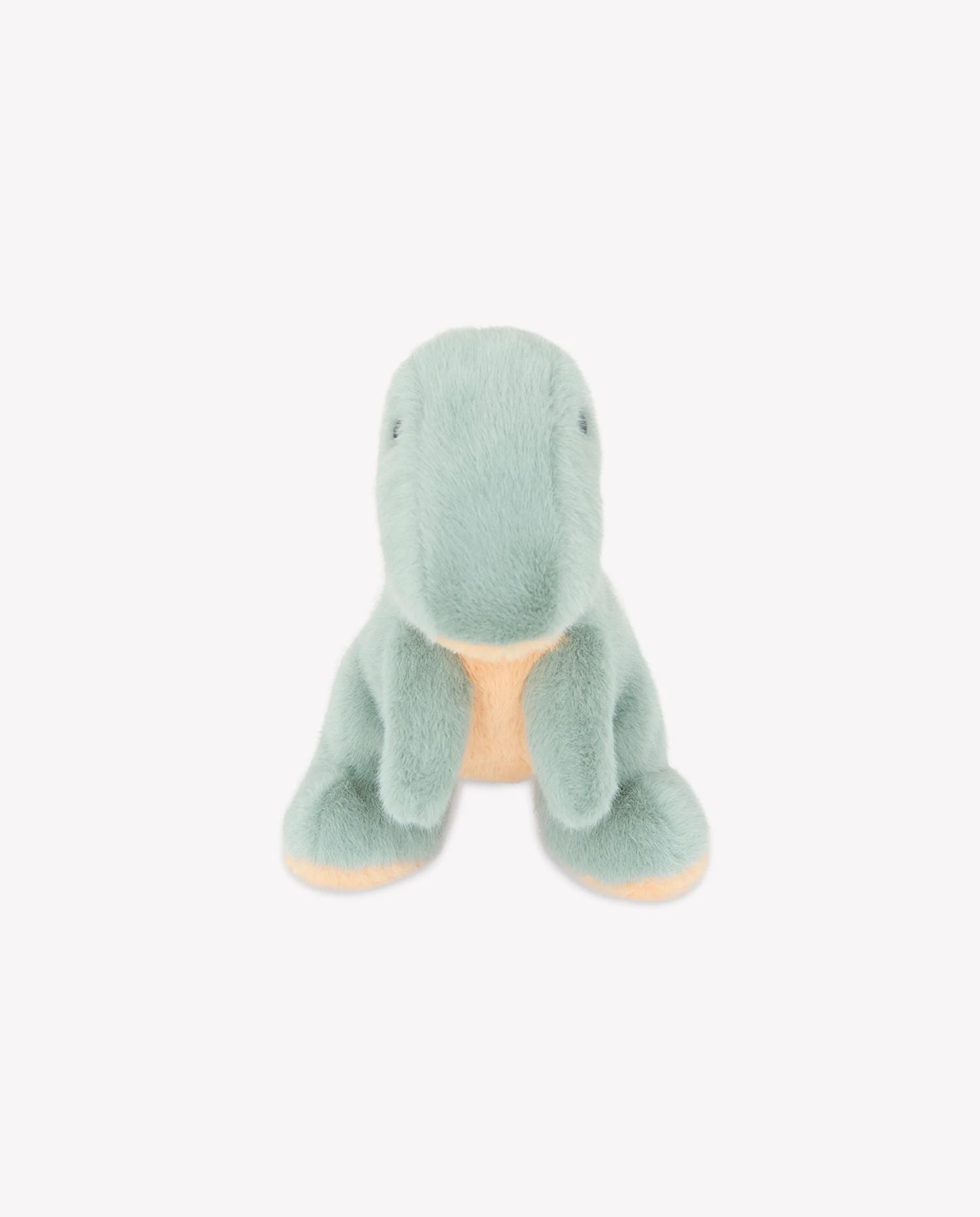 Peluchedinomm Dino Sacha - CO LABEL